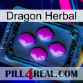 Dragon Herbal 04
